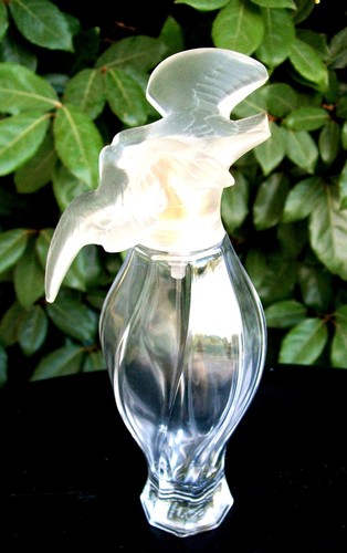 Flacon vaporisateur vide 100 - vaporisateur,