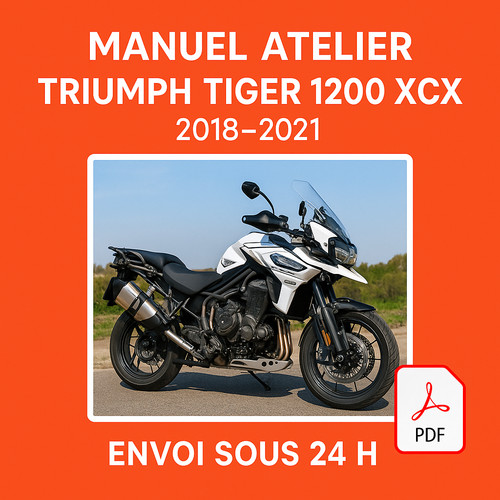 Manuel atelier triumph tiger - triumph,