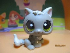 Petshop Chaton #1035