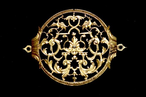 Coq montre gros oignon - coq,