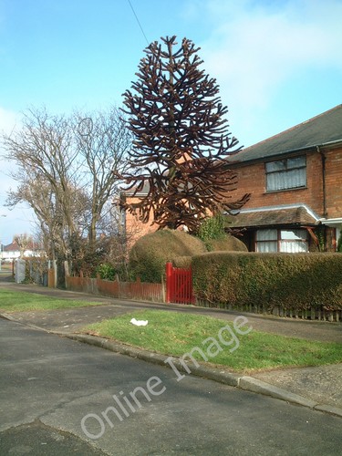 Photo 6x4 moorside road - moorside,