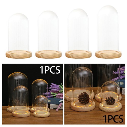Cloche verre transparent - verre,