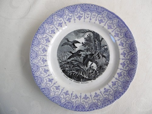 Ancienne assiette - ancienne,