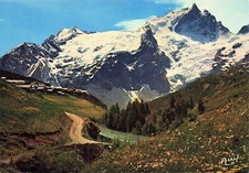 5 LES HAUTES ALPES VILLAGE ET FLORE ALPINE