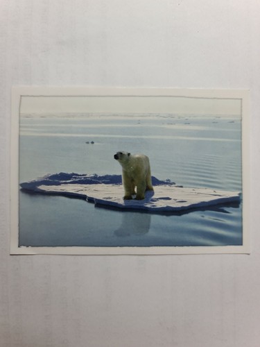 Image sticker autocollant