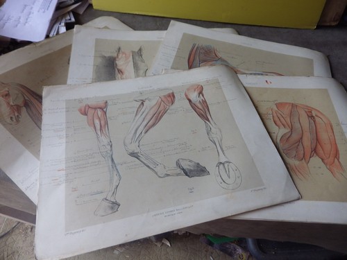 Suite complete des planches - suite,