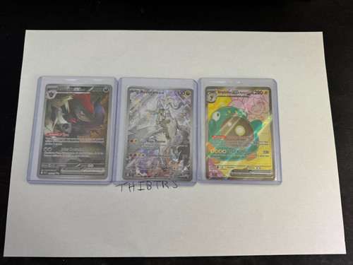 Lot carte pokemon zoroark - carte,