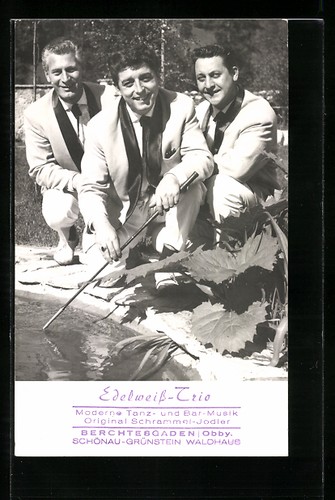 Trio musiciens edelweiss - trio, de