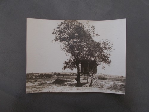 Photo originale guerre - photo,