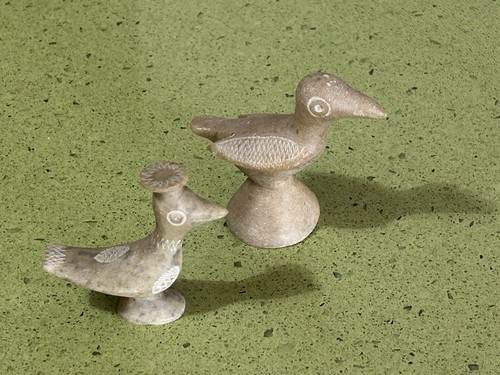 Oiseau couple petits - ,