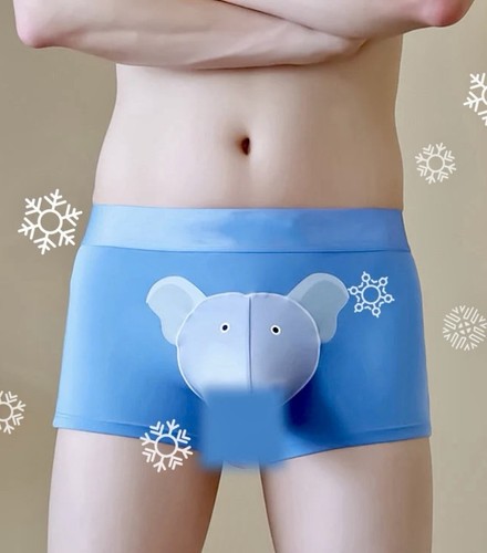 Boxer fantaisie éléphant - boxer,
