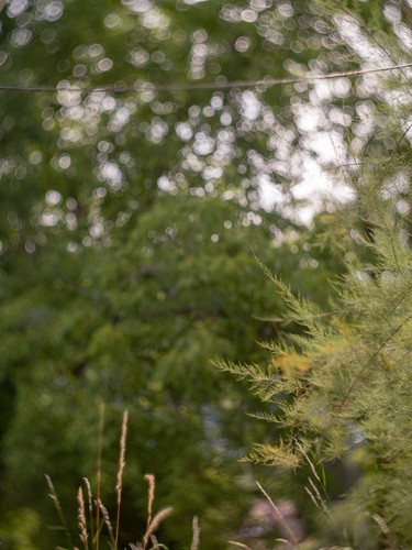 Objectif hermagis petzval 95mm - hermagis,
