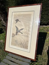 Gravure Léon Danchin Canards 