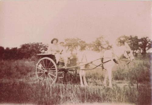 Ancienne petite photographie - ancienne,
