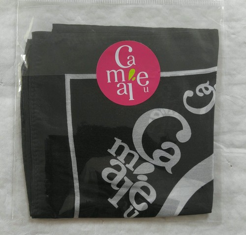 Foulard camaïeu femme soie - foulard,