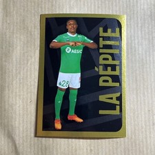 504 LA PEPITE SAINT ETIENNE