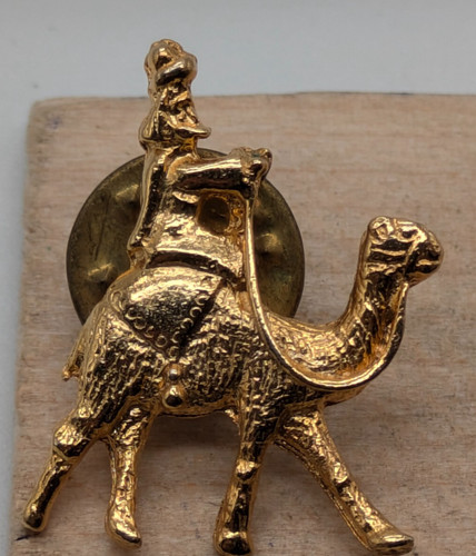 Man riding camel - man, toned