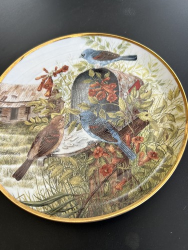 Assiette collection - assiette, de