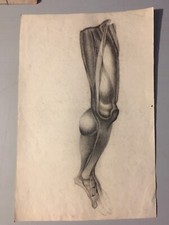 Superbe  dessin écorché anatomie Jambe Pied curiosi à la main mine plomb XIXe