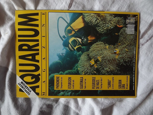 0104 aquarium magazine - 0104, n°80