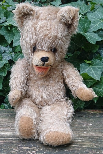 Ancien teddy ours - ours, en