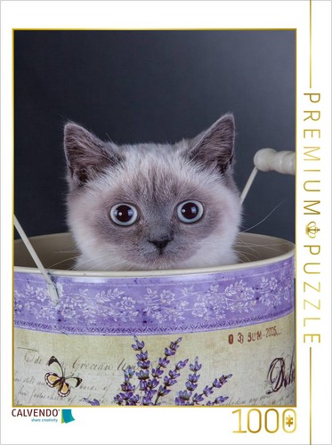 Calvendo puzzle ein motiv aus - calvendo,