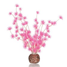 biOrb Bonsai Ball, Colorful