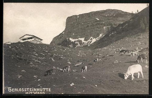 Cabane pierre gerlostein - en,
