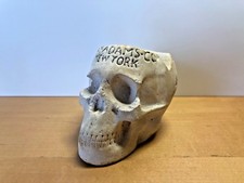 Rare - Crâne Clay Adams Compagnie New York - Plâtre Plaster - Cendrier