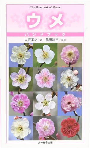 Plum prunus mume handbook 120 - plum,