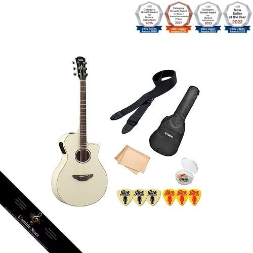Guitare acoustique électrique