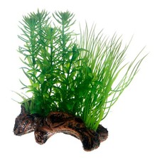 Hobby Flora Racine 2 S 17 Cm