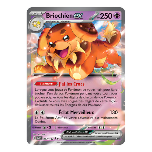 Briochien 067 142 - briochien, ex