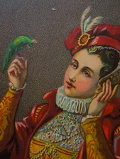 Chromo ancien Image ancienne Jeune Femme Renaissance Robe Perles Perroquet 131a