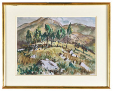 SUPERBE VUE D'ESTAGEL EN