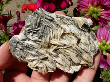 Baryte & Chalcopyrite 8x5cm Allemagne Minéraux pierre lithothérapie rare reiki