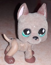 Petshop chien grand danois 636