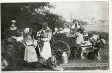 BELGIQUE ATTELAGE DE CHIENS LAITIERES LAITIERS FLAMANDS Pli vertical côté droit