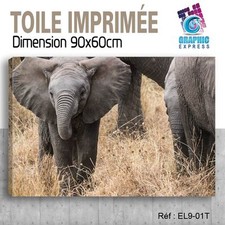 90x60cm - TOILE IMPRIMEE- TABLEAU  POSTER DECO -ELEPHANT FELIN - EL9-01T