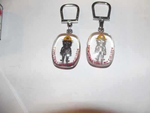Superbe porte clefs - porte,