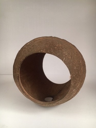 Vivarium 100 naturel - 100%, coque