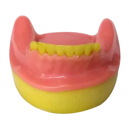 Mandibule partiellement