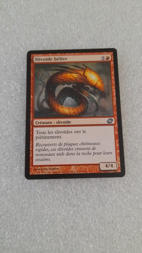 Carte mtg magic the - magic, gathering