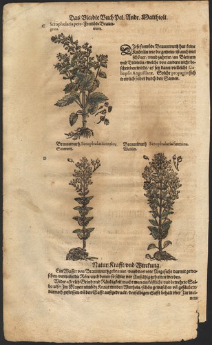 1590 planche gravure - planche,