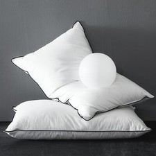 Oreiller en d'oie Duvet 60x60 Lot de 2 Duvet et Plumes de Haute Qualité entou...