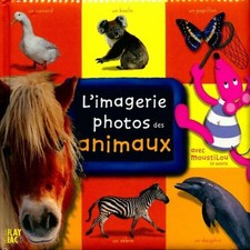 L'imagerie photos des animaux