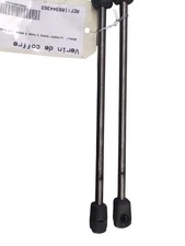 Verin de coffre RENAULT MEGANE 3 PHASE 3 BREAK 844300009R