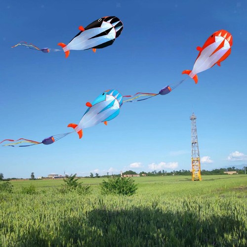 Cerf volant énorme - 3d,