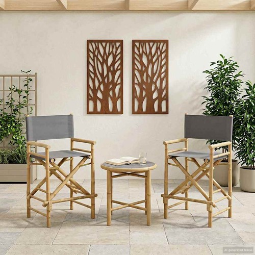 Chaise directeur pliante 2 - directeur,