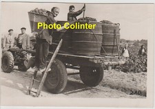 VENDANGES A l'ANCIENNE avec